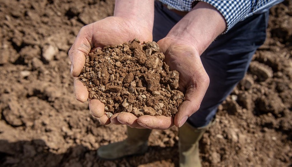 A handful of soil at Saltash Monitor Farm